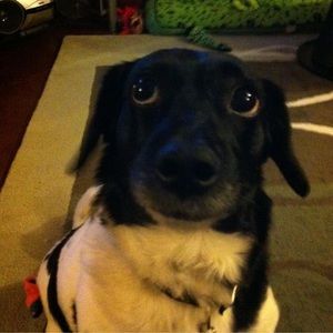 Meet your Posher, Penny-jo